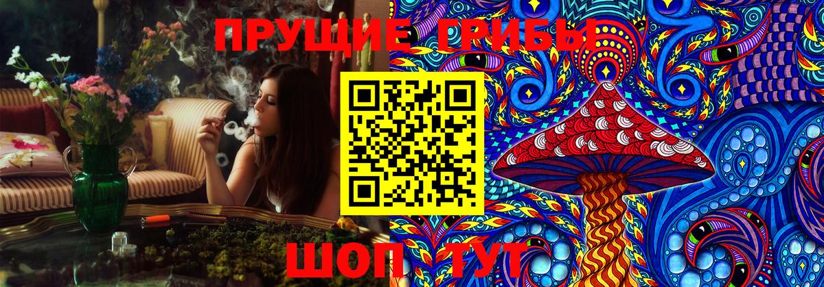 Галлюциногенные грибы Psilocybe Людиново