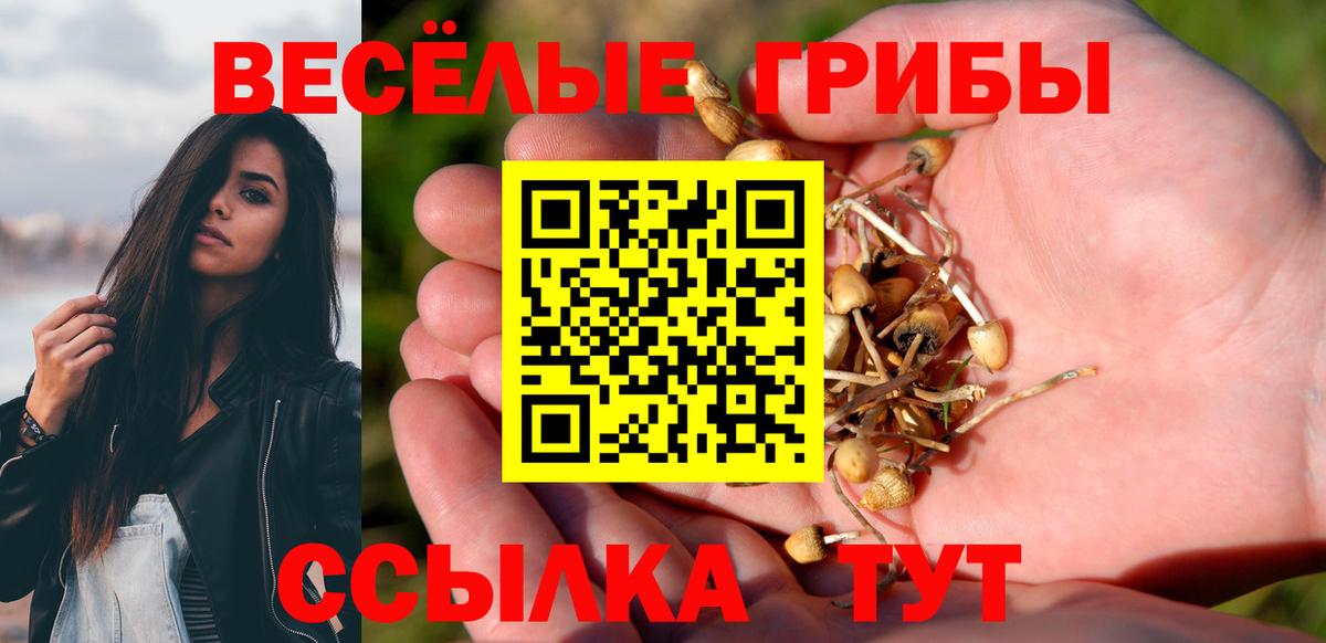 продажа наркотиков  Псилоцибиновые грибы Cubensis  Псилоцибиновые грибы мицелий  Вход с VPN  Людиново 